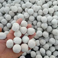 فروش کشک درجه یک