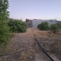 زمین درجه ۱ همراه با درخت در کلاغ نشین قیمت مناسب|فروش زمین و ملک کلنگی|دوگنبدان, |دیوار