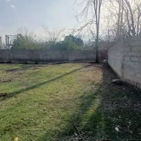 250متر زمین زیده مسکونی تک برگ  فومن