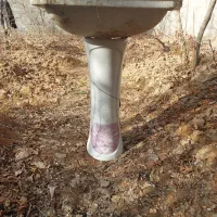 روشورو پایه  سالم