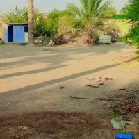 این-ملک-به-فروش-می-رسد