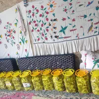 ترشی بیلهر
