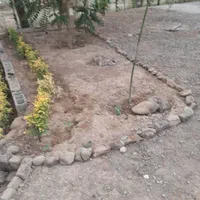 باغچه آینده دار نقلی کاشانک منطقه ۱۹ تهران|فروش زمین و ملک کلنگی|اسلام‌شهر, زرافشان|دیوار