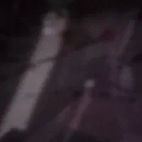 مرغ و خروس بزرگ و کوچک و جوجه