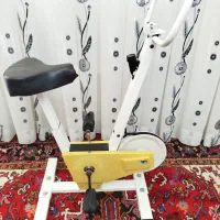 دوچرخه ثابت