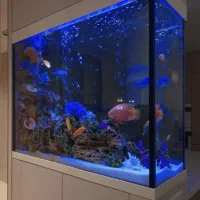 جشنواره ویژه فروش آکواریوم های ocean tiny|ماهی|رشت, گلسار|دیوار