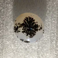 سنگ شجر تک درخت|کلکسیون اشیاء عتیقه|کرمانشاه, |دیوار