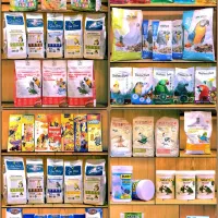 کاسکوشاه طوطی ملنگو راهب گرینچیک عروس هلندی قناری|پرنده|مشهد, هفت تیر (آب و برق)|دیوار