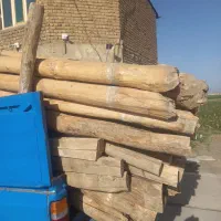 خریدچوب‌خشک‌ودرخت‌‌بابالاترین‌قیمت‌‌خریدمستقیم