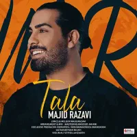 بلیط کنسرت مجید رضوی