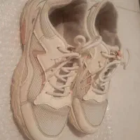 کتونی زنانه|کیف، کفش، کمربند|گرمدره, |دیوار