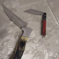 دوعدد چاق