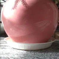 گلدان سرامیکی