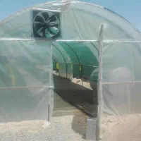 سازه گلخانه|مصالح و تجهیزات ساختمان|مشهد, چهاربرج|دیوار