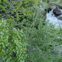 راهنمایی  کار