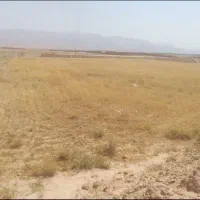 فروش زمین کشاورزی