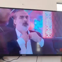 تلویزیون سالم نو 33|تلویزیون و پروژکتور|گلپایگان, |دیوار