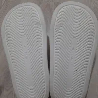 دمپایی طرح خرس|کیف، کفش، کمربند|رشت, پاستوریزه|دیوار