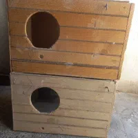 لانه عروس