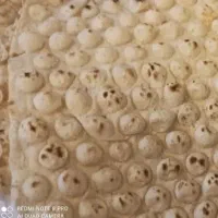 کارگر نانوایی