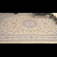 روفرشی  در حدنو