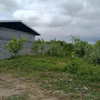 زمین مسکونی ۳۰۰ متری/ با نامه بنیاد