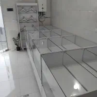 پیشخوان|فروشگاه و مغازه|مشکین‌دشت, |دیوار