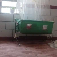 گهواره میلاد