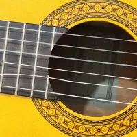 گیتار yamaha c80