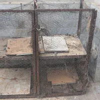 قفس حیوانات