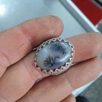 انگشتره نقره شجر