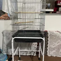 قفس کاسکو