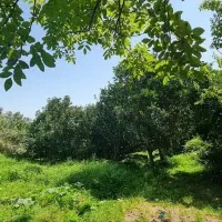 فروش ملک در منطقه آزاد اقتصادی شمال کشور|فروش زمین و ملک کلنگی|خرمآباد (تنکابن), |دیوار