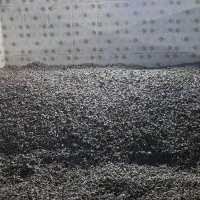 تولیدوپخش تخمه خام تفت داد تناژ|عمدهفروشی|مشهد, مهدی آباد|دیوار