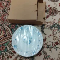بشقاب ارکوپال پلمپ