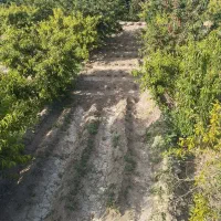 باغچه در روستای شیخ سرمست|فروش زمین و ملک کلنگی|ارومیه, |دیوار