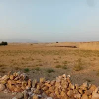 زمین کشاورزی