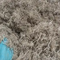 چوب آویشن