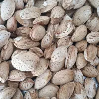 بادام پوست کاغذی پر مغز