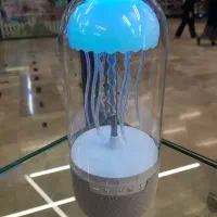 اسپیکر|پخشکننده همراه|یزد, |دیوار