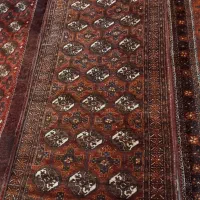 فرش قدیمی|فرش|تهران, مسعودیه|دیوار