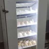 دستگاه جوجه کشی ۲۱۰ تایی