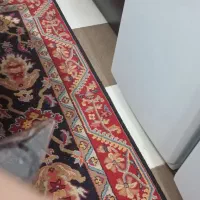گلیم فرش ۴متری