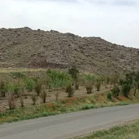 باغ-مستقل