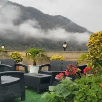 عمارت نوساز جنگلی استخردار پارادایس