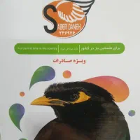 میان ، پیش و پایان دان ارزن و گندم دان مینا