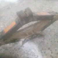 جک قدیمی و کلکسیونی و آس