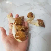 حلزون