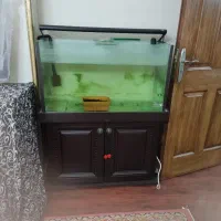 آکواریوم