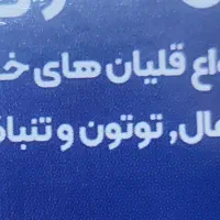 (همکار متعهد منظم مسولیت پذیر) در فروشگاه دخانیات